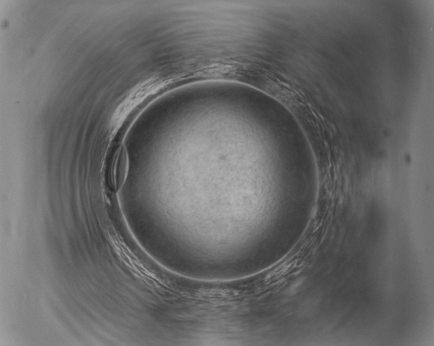 X0000057080242200509161611