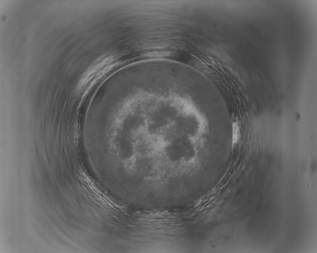 X0000057080243200509161611