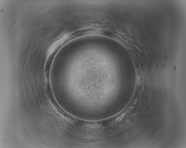 X0000057080245200509161611