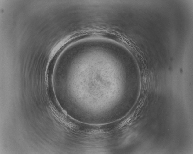 X0000057080246200509161611