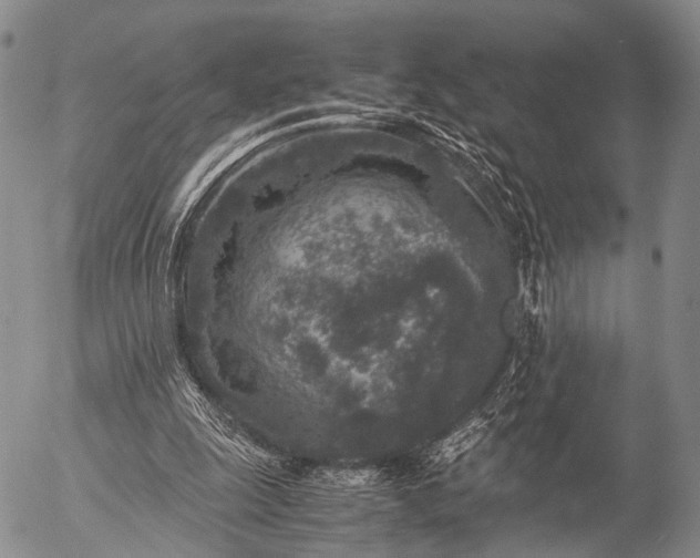 X0000057080247200509161611