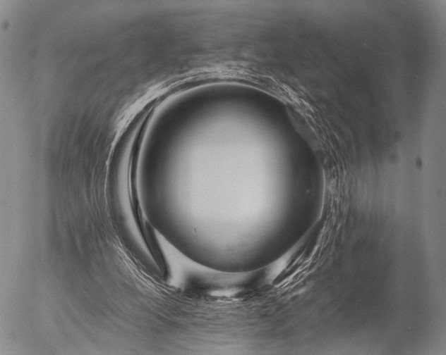 X0000057080248200509161611