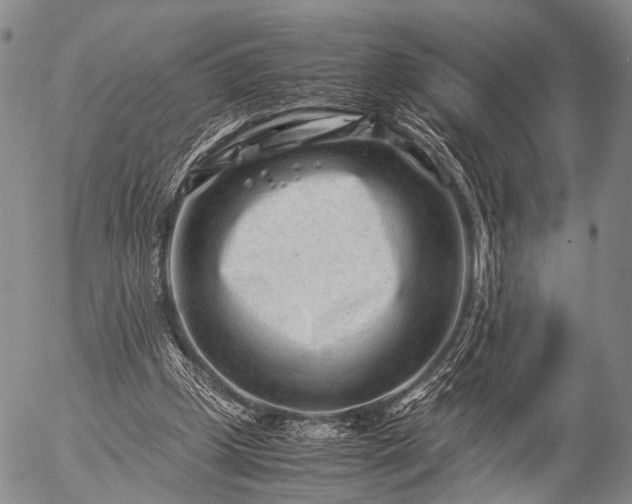 X0000057080249200509161611