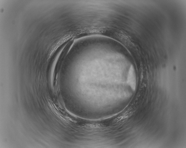 X0000057080250200509161611