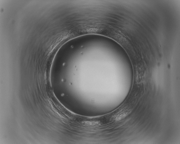 X0000057080251200509161611