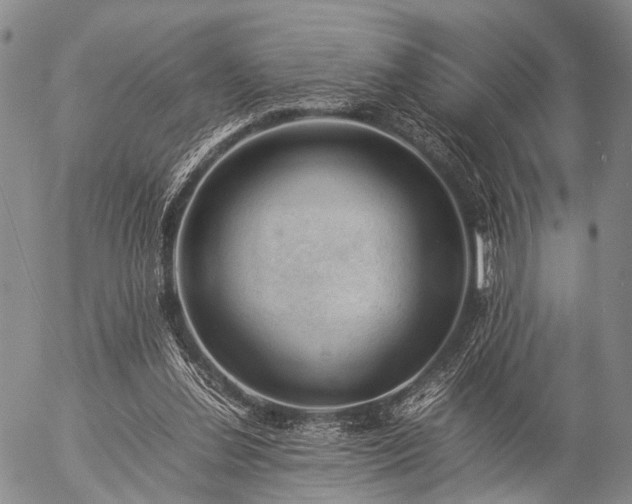 X0000057080252200509161611