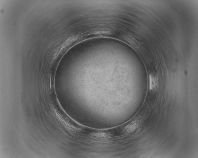 X0000057080253200509161611