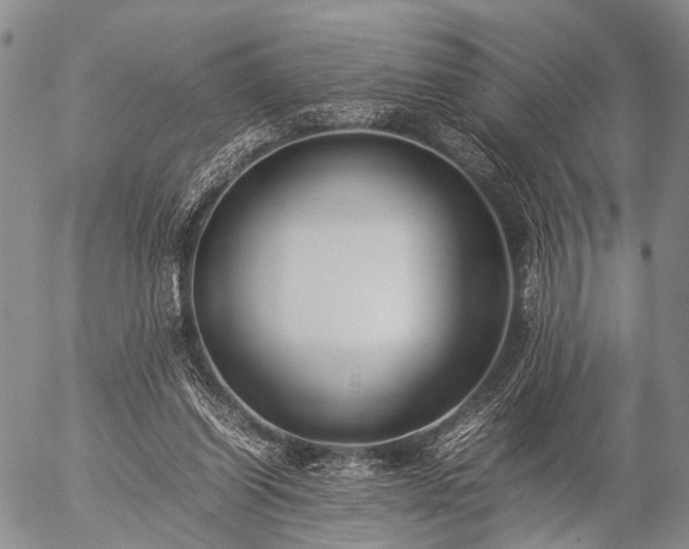 X0000057080254200509161611