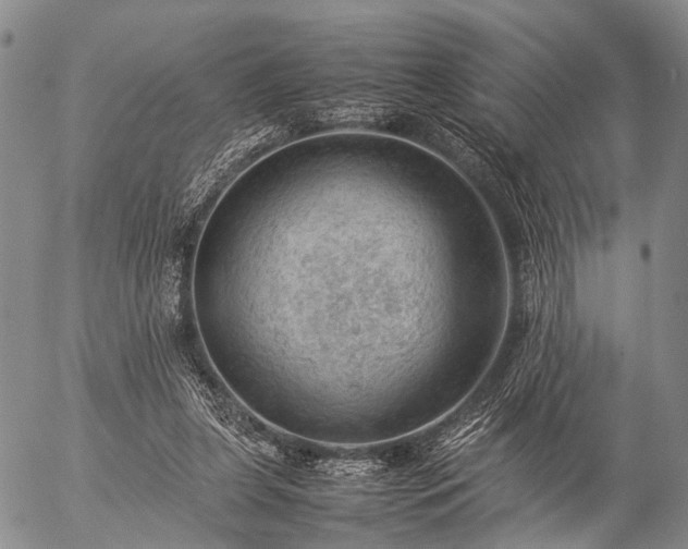 X0000057080255200509161611