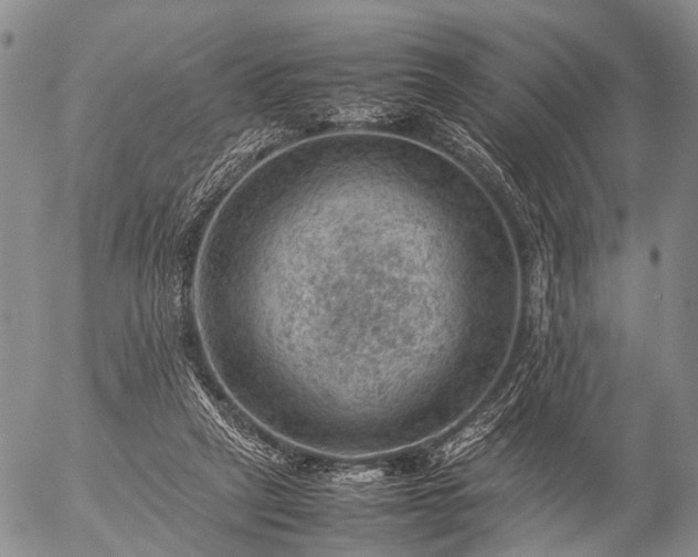 X0000057080257200509161611