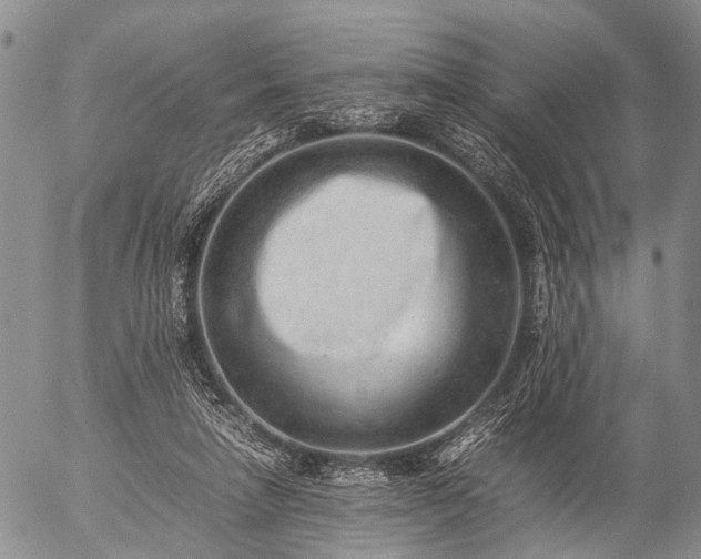 X0000057080258200509161611