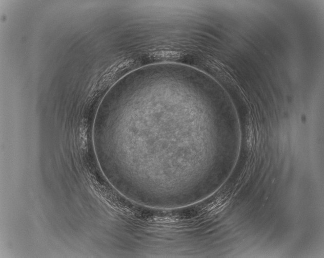 X0000057080259200509161611