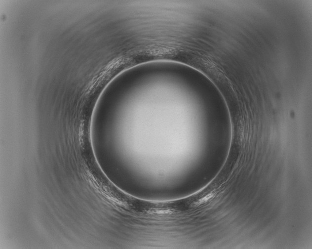 X0000057080260200509161611