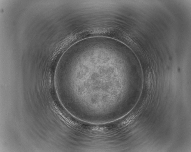 X0000057080261200509161611