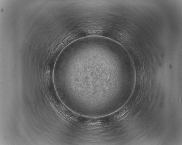 X0000057080263200509161611