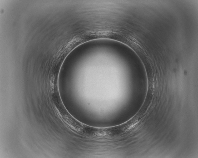 X0000057080264200509161611