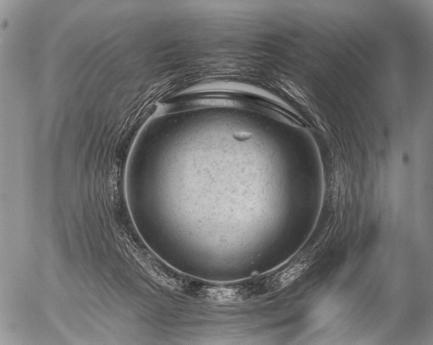 X0000057080265200509161611