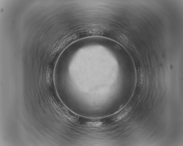 X0000057080266200509161611