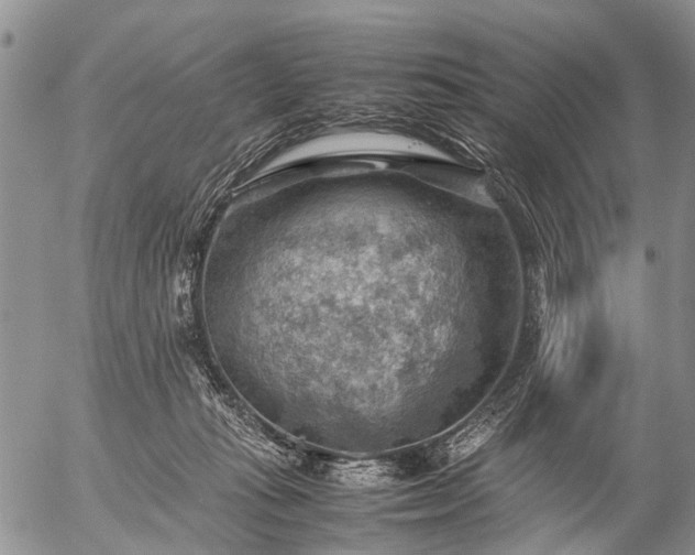 X0000057080269200509161611