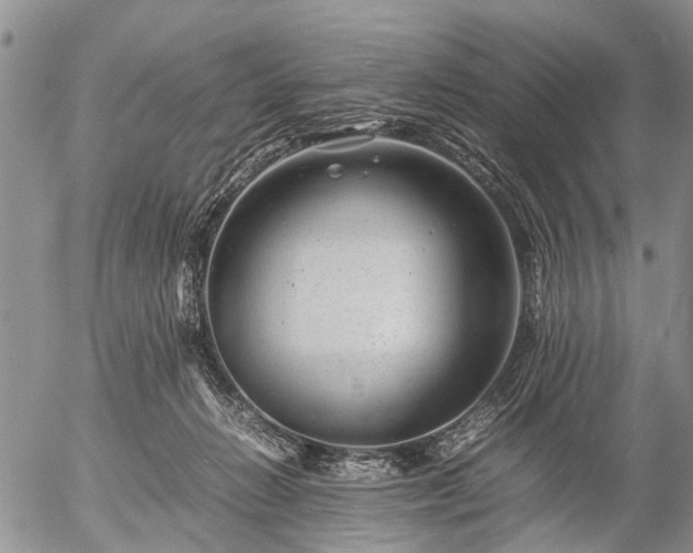 X0000057080270200509161611