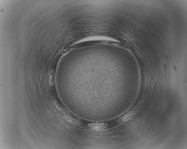 X0000057080273200509161611