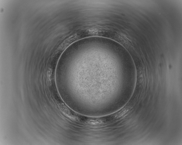 X0000057080275200509161612