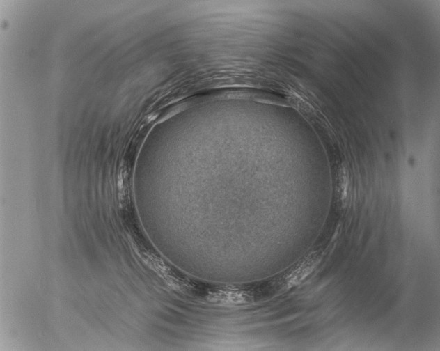 X0000057080276200509161612