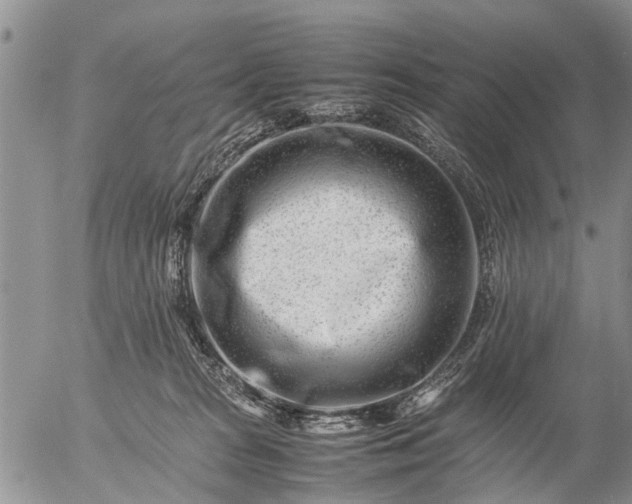 X0000057080277200509161612