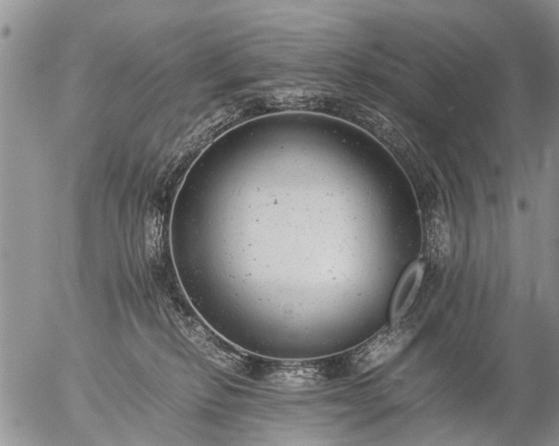 X0000057080278200509161612