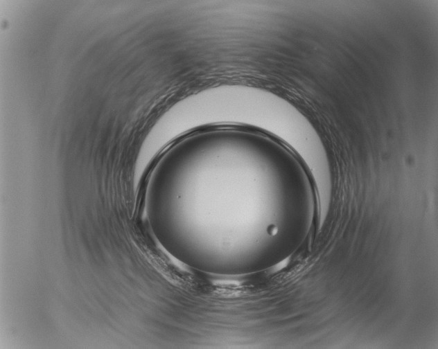 X0000057080280200509161612