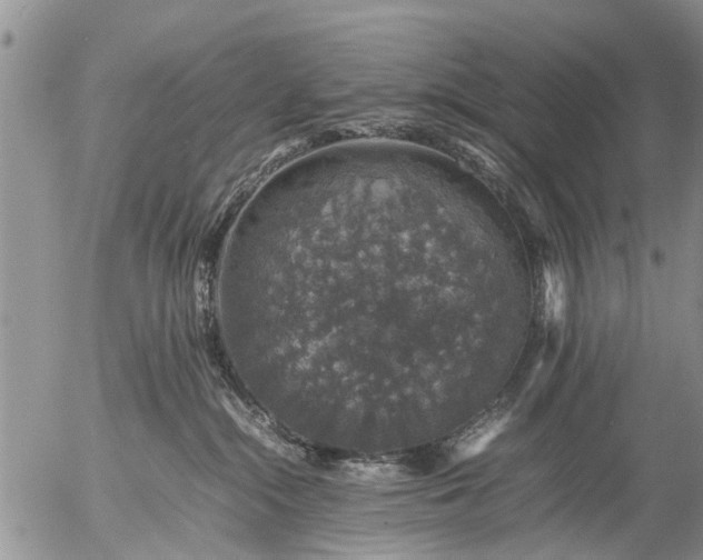 X0000057080284200509161612