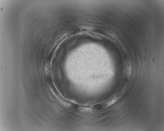 X0000057080285200509161612