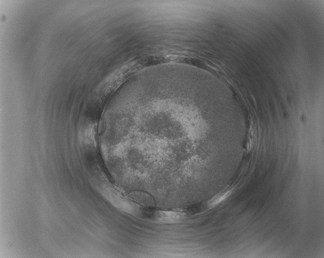 X0000057080286200509161612