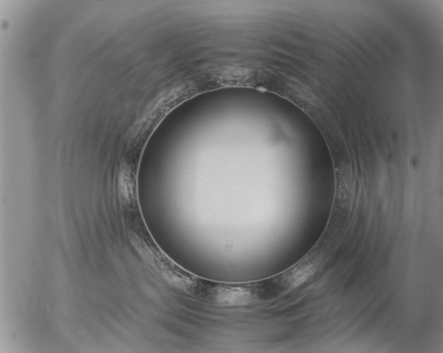 X0000057080287200509161612