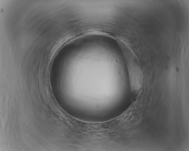 X0000057080289200509161611