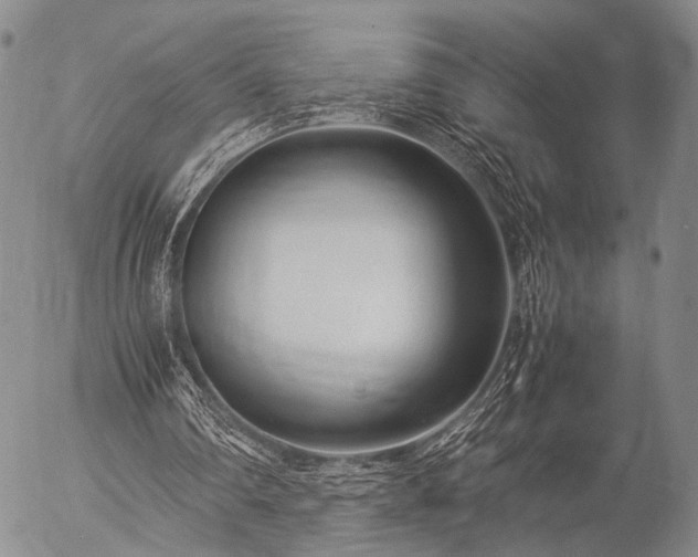 X0000057080290200509161611