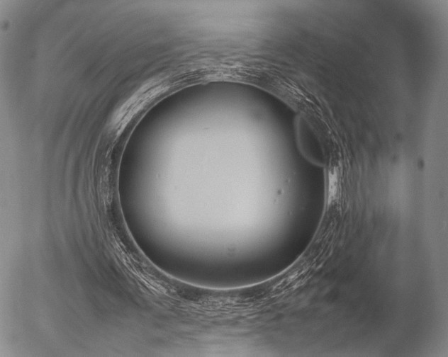 X0000057080291200509161611