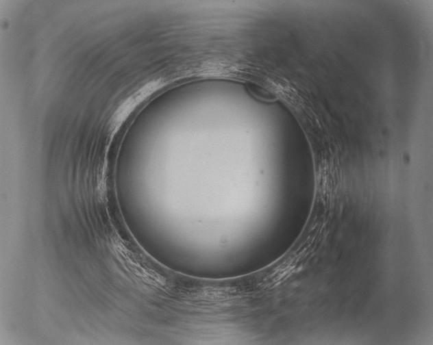 X0000057080292200509161611