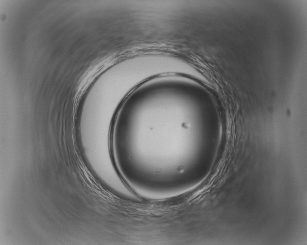 X0000057080293200509161611