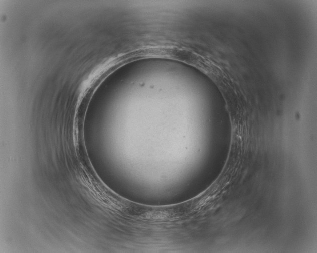 X0000057080294200509161611