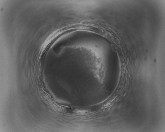 X0000057080295200509161611