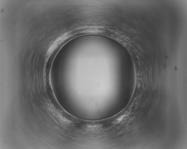 X0000057080296200509161611