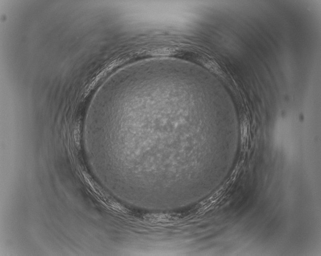 X0000057080297200509161611