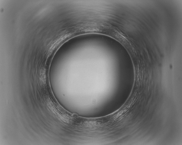 X0000057080298200509161611