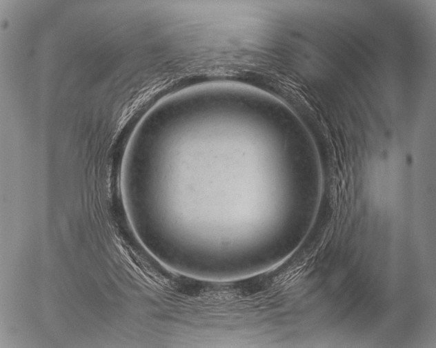 X0000057080299200509161611