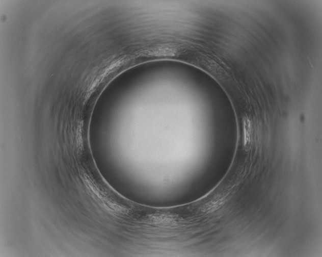 X0000057080300200509161611