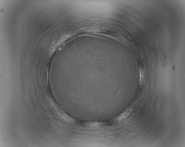 X0000057080301200509161611