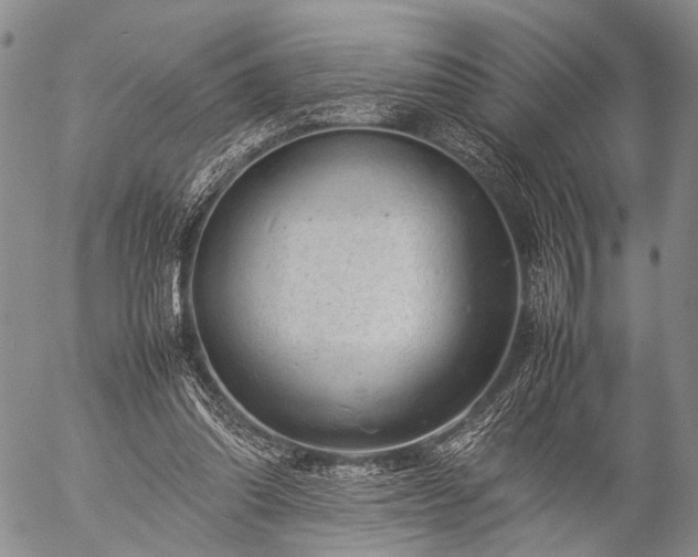 X0000057080302200509161611