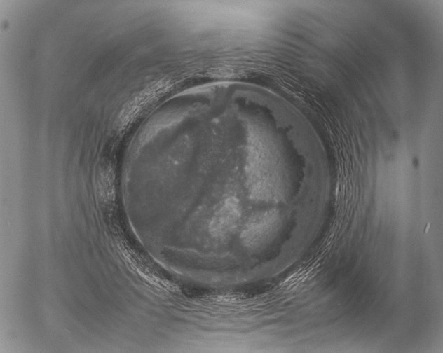 X0000057080303200509161611