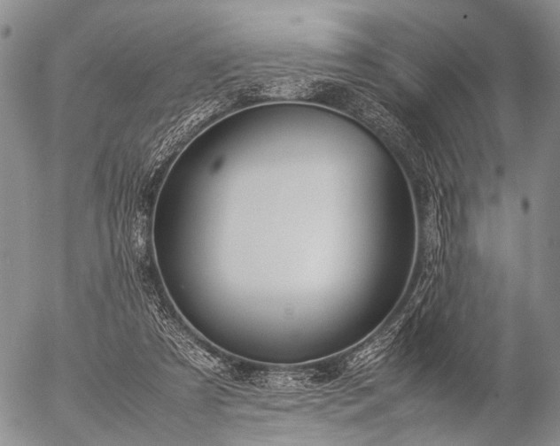 X0000057080305200509161611